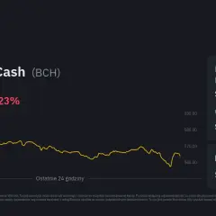 Kurs Bitcoin Cash na BitBay: Jak zmienia się cena Bitcoin Cash?