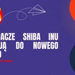 Posiadacze shiba inu migrują do nowego krypto ICO, aby polować na tokeny z 1000% ROI