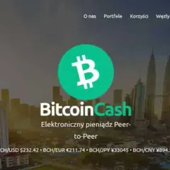 Bitcoin Cash czy warto: Analiza opłacalności inwestycji w BCH
