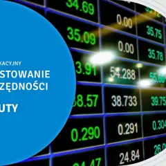 Forex czy kryptowaluty - który rynek wybiorą doświadczeni inwestorzy?