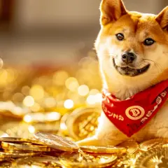 Kryptowaluta Shiba Inu: Czy Shiba Inu to opłacalna inwestycja? 