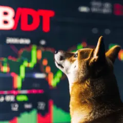 Handel Shiba Inu na Binance - Sprawdź możliwości inwestycyjne