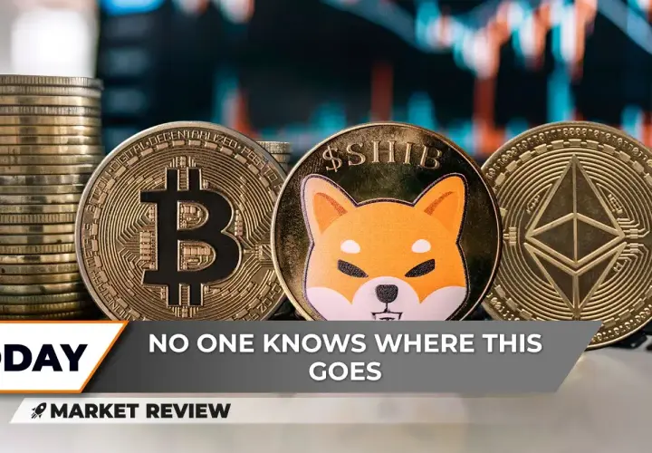 Kryptowaluta Shiba Coin: Analiza kryptowaluty Shiba Coin