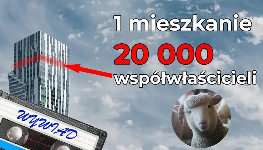 Rafał Zaorski: geniusz czy bankrutujący Midas? Epicki flip to błysk kapitalizmu lub gruba operacja strzyżenia owiec [ANALIZA]