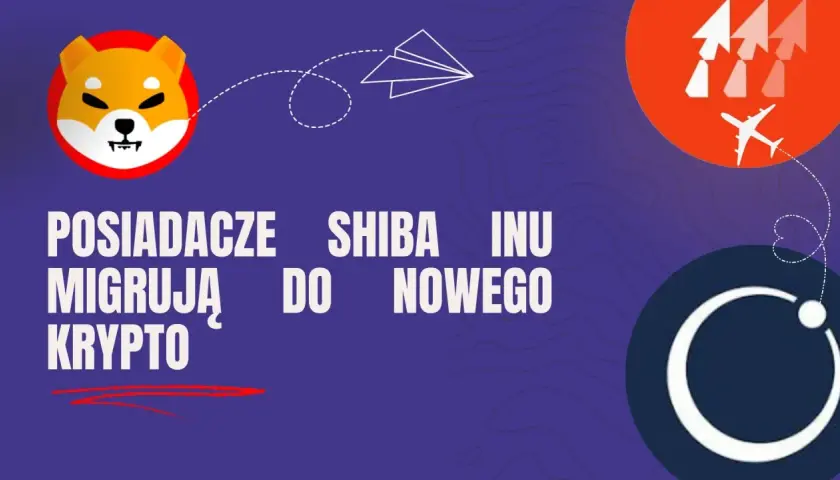 Posiadacze shiba inu migrują do nowego krypto ICO, aby polować na tokeny z 1000% ROI