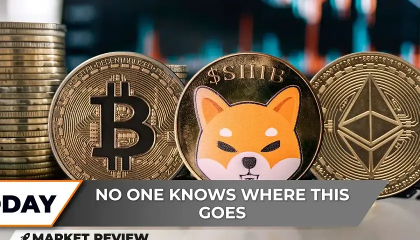 Kryptowaluta Shiba Coin: Analiza kryptowaluty Shiba Coin