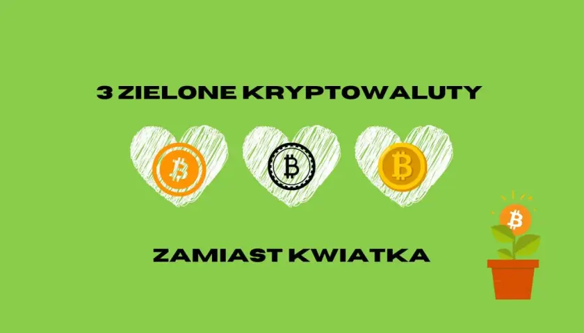 3 zielone kryptowaluty zamiast kwiatka: najlepsze inwestycje w 2022 roku