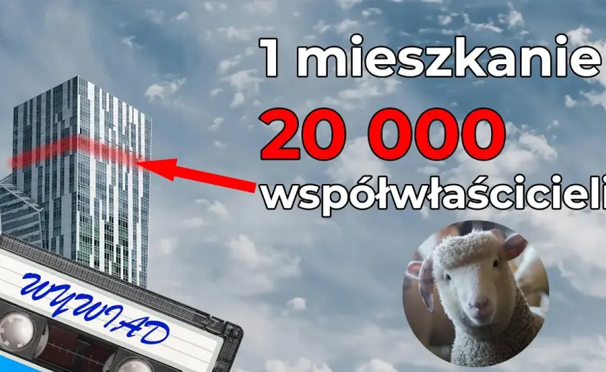 Rafał Zaorski: geniusz czy bankrutujący Midas? Epicki flip to błysk kapitalizmu lub gruba operacja strzyżenia owiec [ANALIZA]